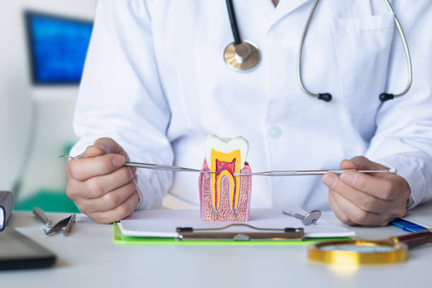 Best Emergency Dental Care for Abscessed Tooth in Mckee City, NJ